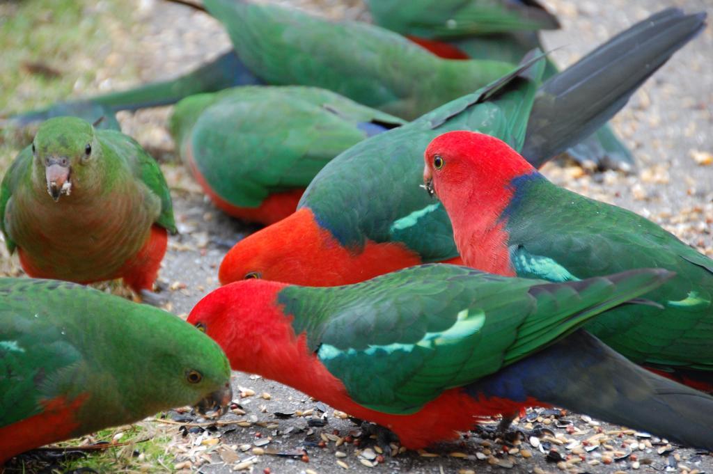Eildon Pondage Holiday Park エクステリア 写真