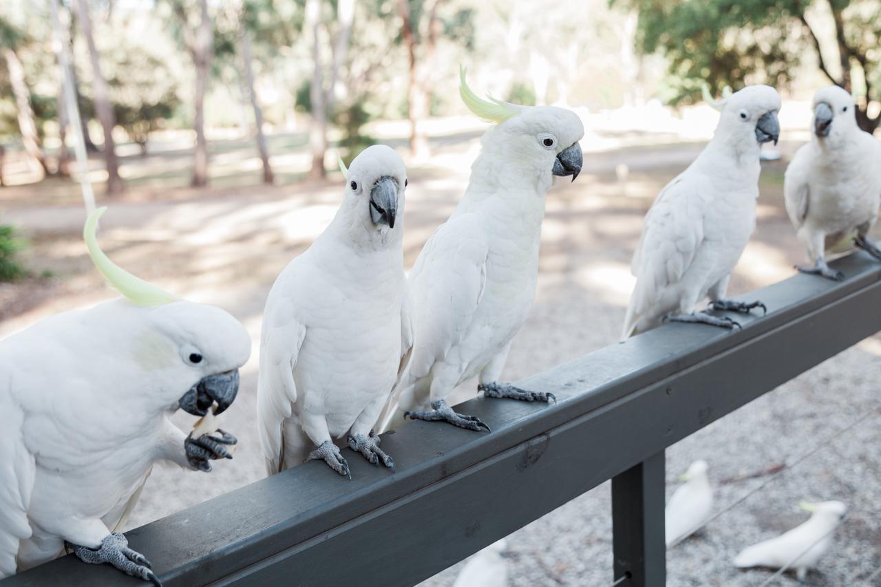 Eildon Pondage Holiday Park エクステリア 写真