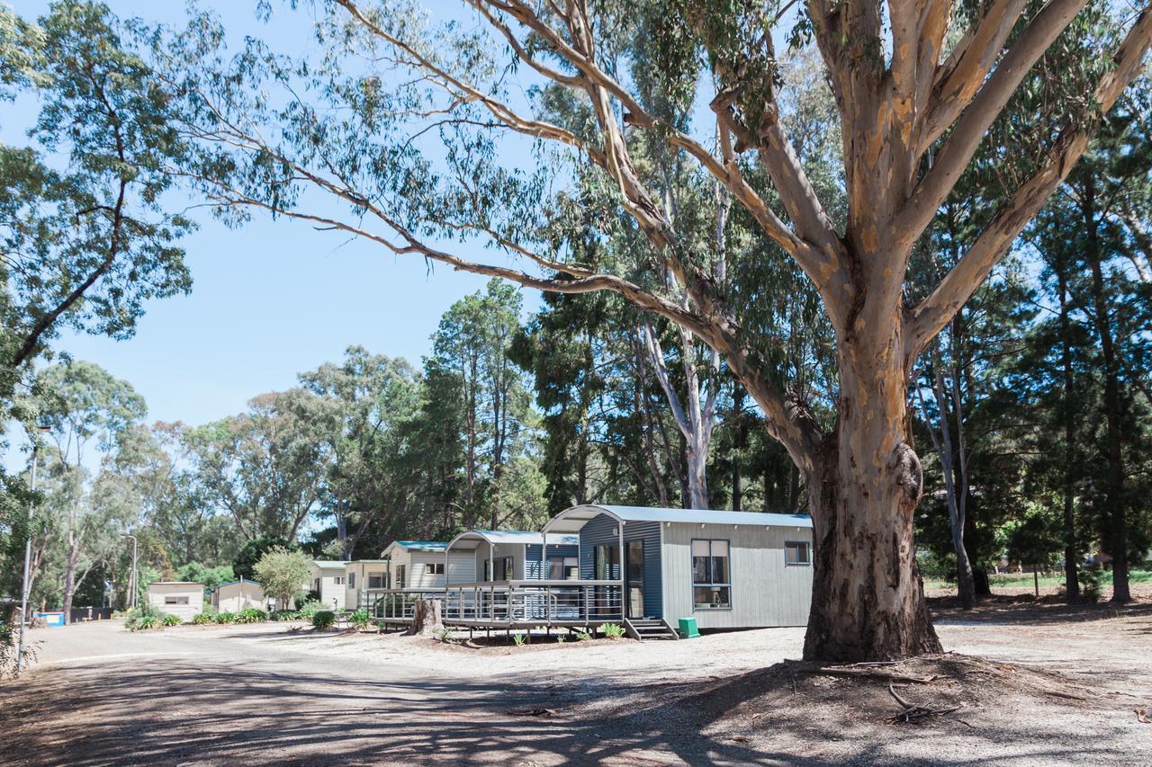 Eildon Pondage Holiday Park エクステリア 写真